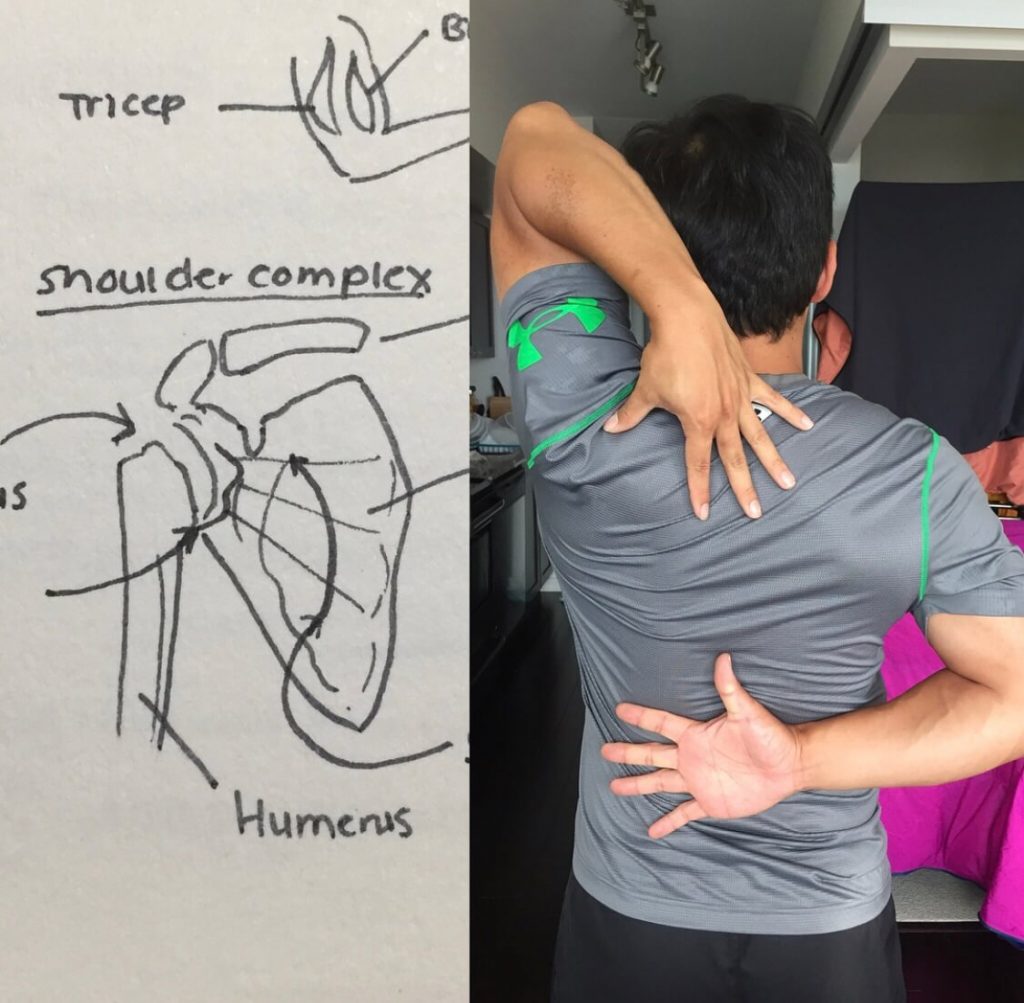 shoulder mobility client