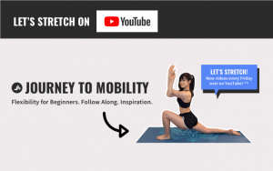 journey to mobility youtube